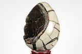 Septarian Dragon Egg Geode - Black Crystals #191506-1